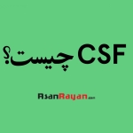 CSF چیست؟
