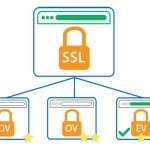 انواع SSL