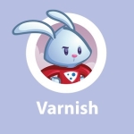 کش Varnish (وارنیش) چیست؟